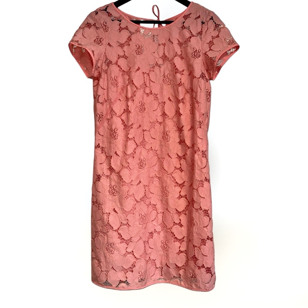 Ann Taylor Loft Pink Lace Short Sleeve Mini Dress Back Tie and Zipper Sz 8